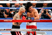 Cotto vs. Kamegai